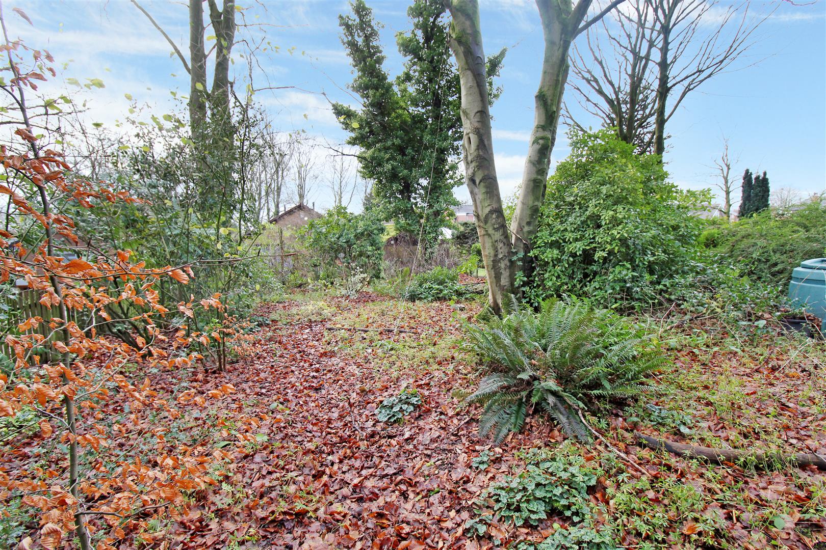 Light Oaks Avenue, Light Oaks, Stoke-On-Trent